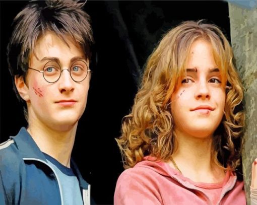 Hermione And Harry Potter paint by numbers