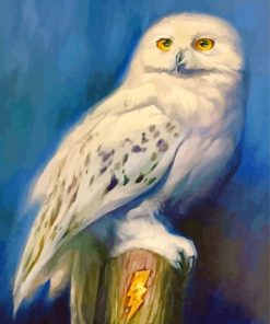 Harry Potter Hedwig paint by numbers