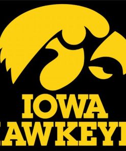 Iowa Hawkeyes paint by numbers