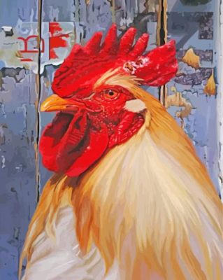 Hen Chicken Head paint by numbers