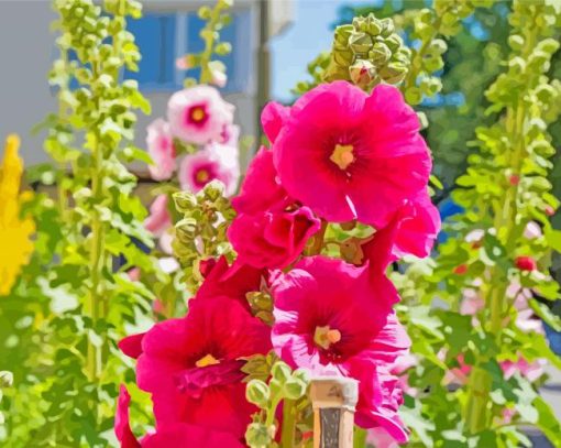 Beautiful Hollyhocks Flowers paint by numbers