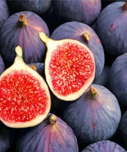 Delicious Purple Figs paint by numbers