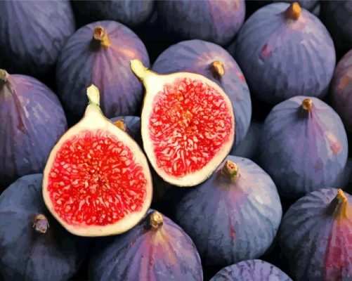 Delicious Purple Figs paint by numbers