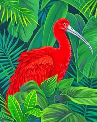 Red Ibis Bird paint by numbers