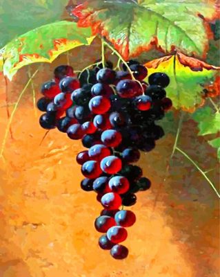 Red Grapes Fruits paint by numbers
