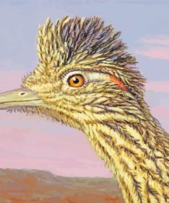 Roadrunner Bird Head paint by numbers