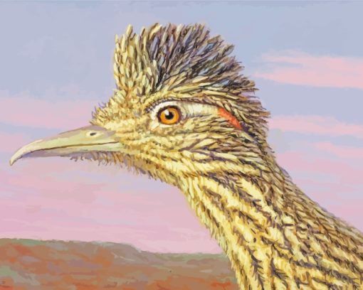 Roadrunner Bird Head paint by numbers