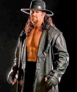 The Undertaker Super Star paint by numbers