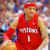 The Basketball Player Allen Iverson paint by numbers