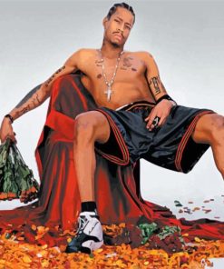 The Professional Player Allen Iverson paint by numbers