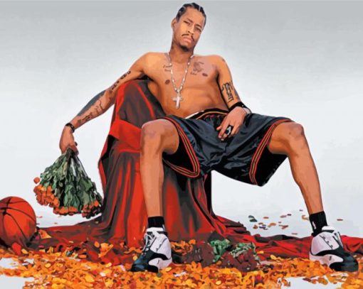 The Professional Player Allen Iverson paint by numbers