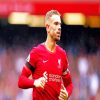 Football Player Jordan Henderson paint by numbers