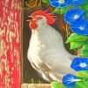 White Chicken Hen paint by numbers