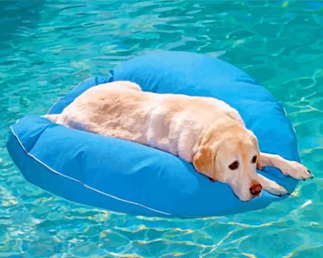 White Floating Pet Dog paint by numbers
