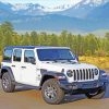 White Jeep Sahara Car paint by numbers