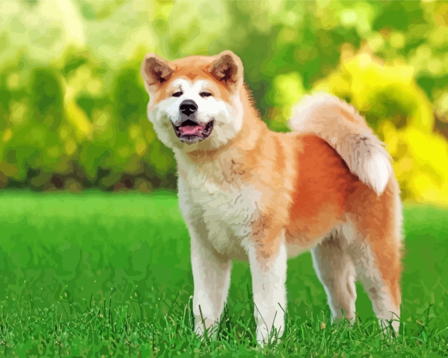Aesthetic Akita Dog paint by numbers