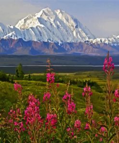 Alaska Denali Mountain paint by numbers