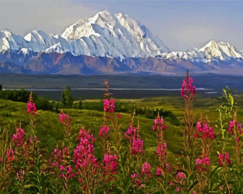 Alaska Denali Mountain paint by numbers