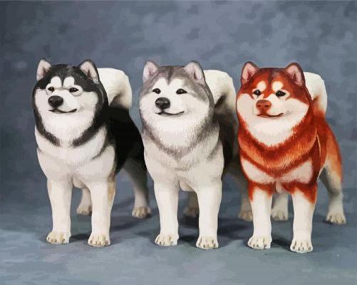 Alaskan Malamute Dogs paint by numbers