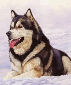 Cute Alaskan Malamute In Snow paint byb numbers