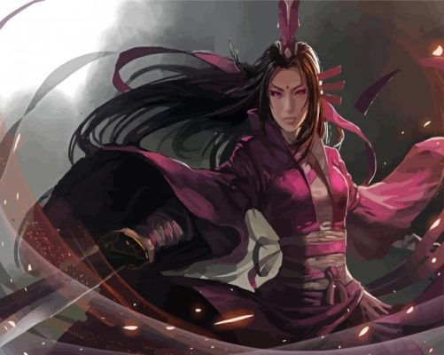 Asian Warrior Girl paint by numbers