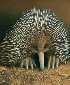 Australian Echidna Animal paint by numbers