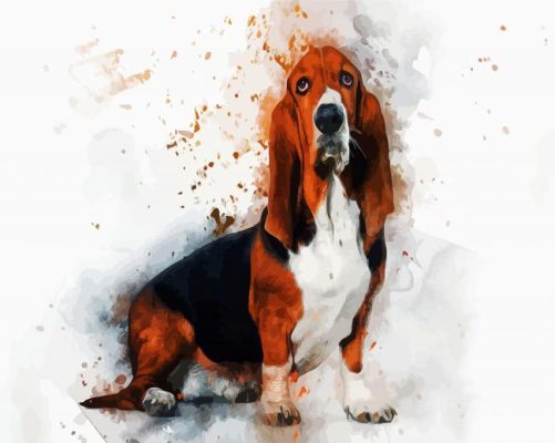 Basset Hound Dog Art paint by numbers