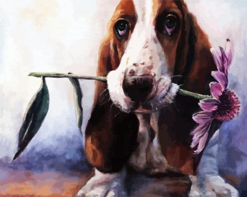 Basset Hound And Flower paint by numbers