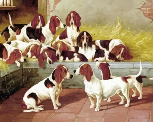 Basset Hound Puppies Dogs paint by numbers