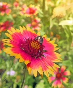 Bee On Wildflower paint by numbers