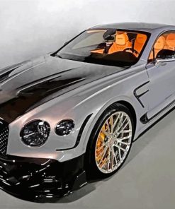 Bentley Continental GT paint by numbers