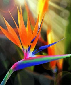 Bird Of Paradise paint by numbers