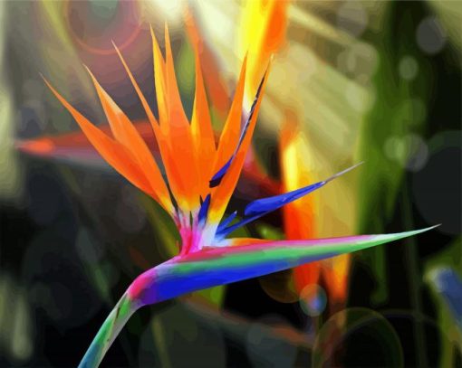 Bird Of Paradise paint by numbers