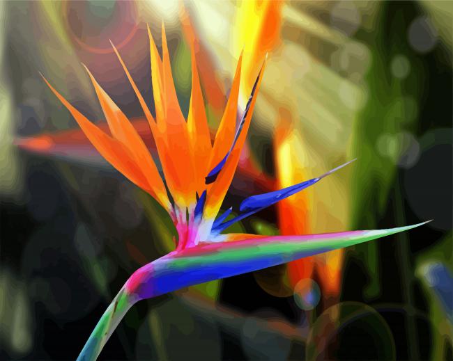 Bird Of Paradise paint by numbers