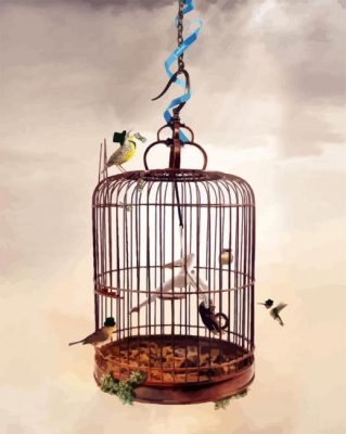 Hanging Birds Cage paint by numbers