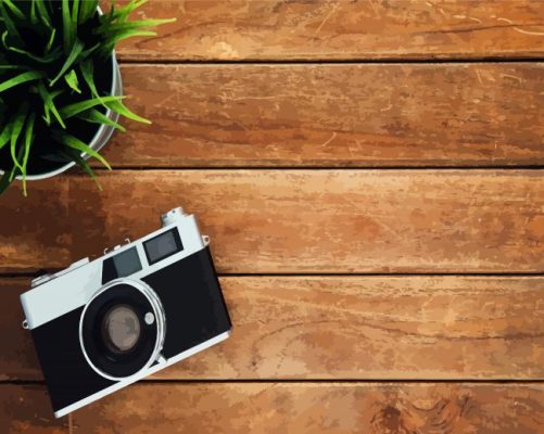 Black Camera paint by numbers