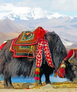 Black Himalayan Yak paint by numbers