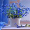 Blue Plants Bucket paint by numbers