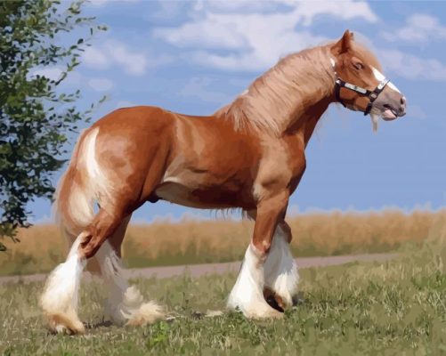 Adorable Blonde Shire Horse paint by numbers