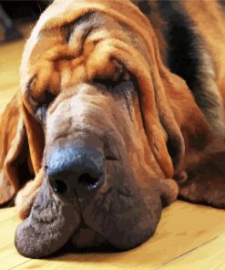 Cute Bloodhound Sleeping paint by numbers