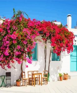 Blooming Bougainvillea Flowers paint by numbers