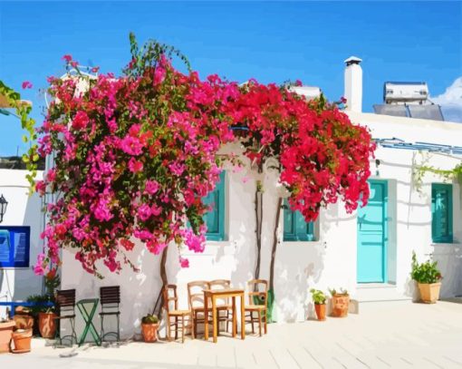 Blooming Bougainvillea Flowers paint by numbers