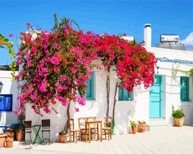 Blooming Bougainvillea Flowers paint by numbers