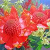 Blooming Waratah Plants paint by numbers