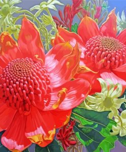 Blooming Waratah Plants paint by numbers