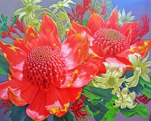 Blooming Waratah Plants paint by numbers