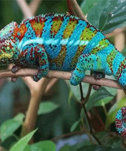 Blue Tropical Chameleon paint by numbers