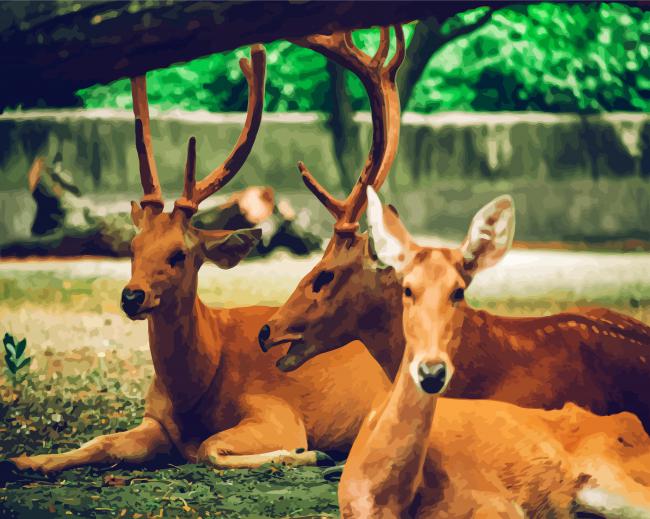 Brown Bucks Animals paint by numbers
