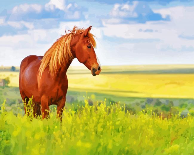 Brown Horse In Meadow paint by numbers
