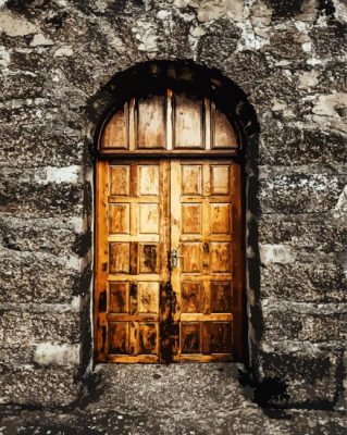 Brown Wooden Door paint by numbers